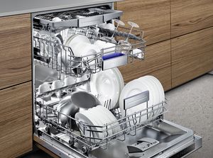 bosch zeolith dishwasher